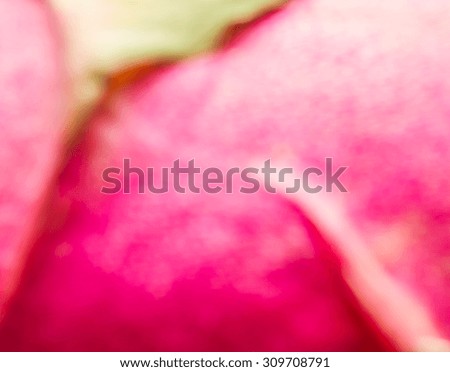 Abstract pink and green blurry background
