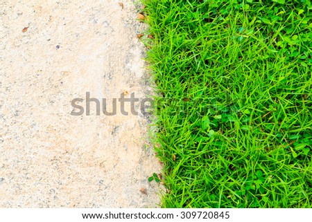 Grass and gravel stones  background