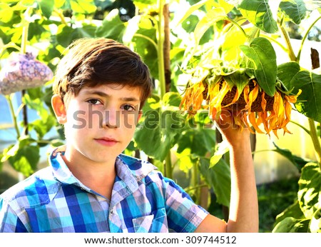 preteen handsome boy with sunflower summer outdoor portrait