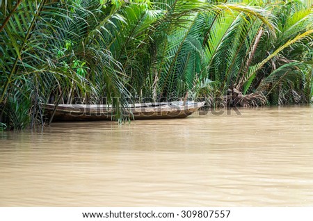 Traditional wooden rowing boats by the edge of a minor tributary of the Mekong River in the Mekong Delta, Vietnam.