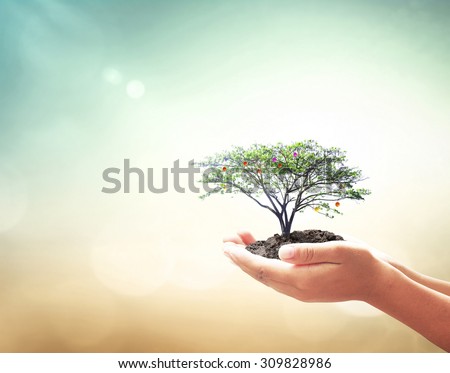 World environment day concept: Human hand holding growing tree over nature background Royalty-Free Stock Photo #309828986