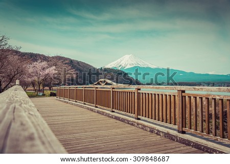 Mountain Fuji in spring ,Cherry blossom Sakura,vintage