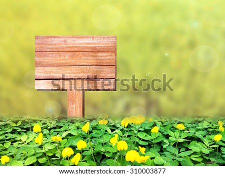 Wood sign on grass in spring background with copy space