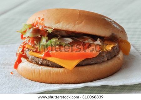Cheese burger with salad , selective focus point.