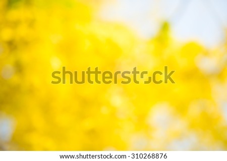 Photo by Lens defocus of Golden shower use as background.