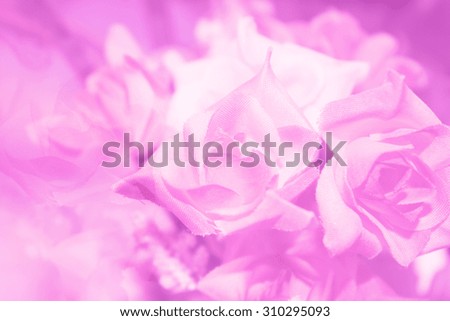 Abstract,Sweet rose flower soft blur for background.