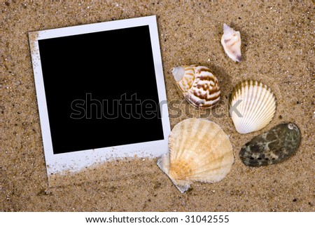 Photo frame with sea shells on sand background