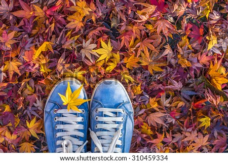 Autumn season in hipster style shoes Royalty-Free Stock Photo #310459334