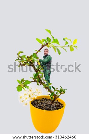 Abstract, Man with ladder in a small bonsai tree. Isolated on white background.