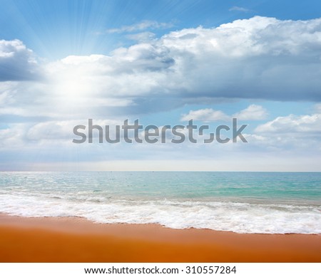 View of the sandy beach of the sea coast of Spain