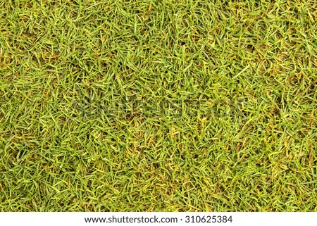grass floor football Course textures and background.