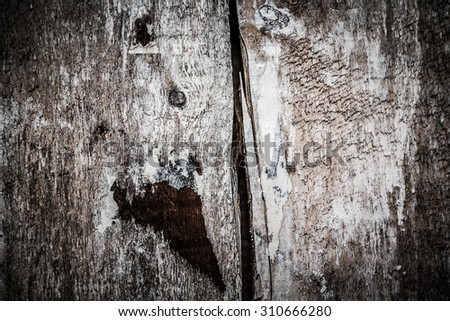 Old boards in an old house with the remains of old newspapers. Selected focus