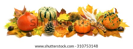 Natural autumn decoration arranged with dry leaves, ornamental pumpkins, cones and more, studio isolated on white, wide format