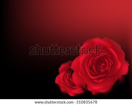 Vector red rose for background and text