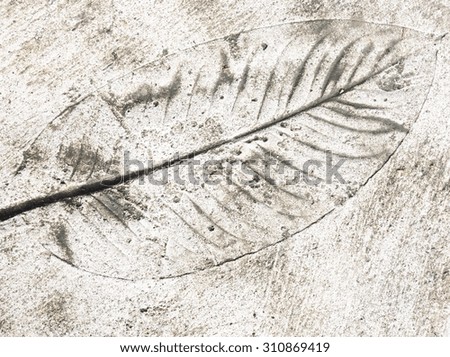 leaf print on natural style cement texture