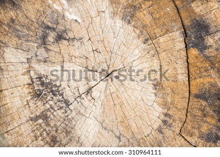 Wood rings

