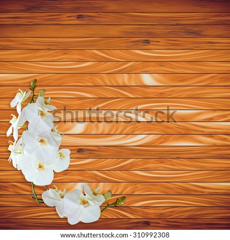 Abstact Beauty White orchid on wood plank background