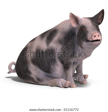 rendering of a young pig with Clipping Path and shadow over white