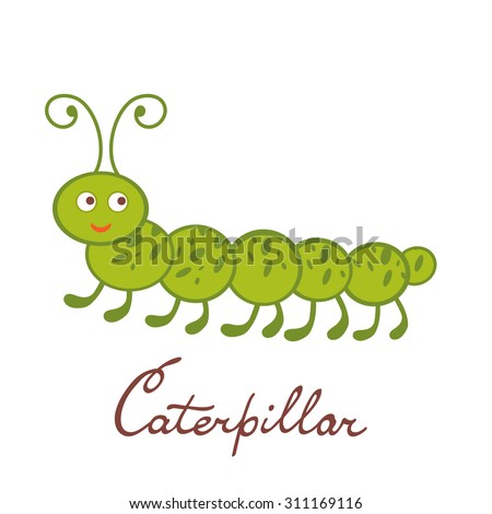 Cute colorful caterpillar character illustration in vector format