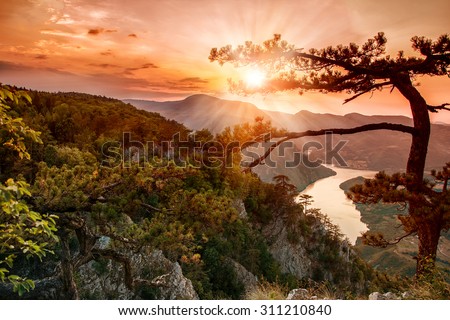 National park Tara mountain, Serbia, View point at sunset. Royalty-Free Stock Photo #311210840