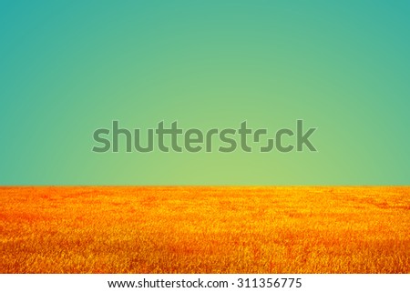 Vintage field and sky background