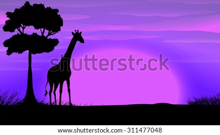 Silhouette of giraffe in safari illustration