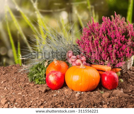Autumn nature concept. Fall fruit and vegetables 
