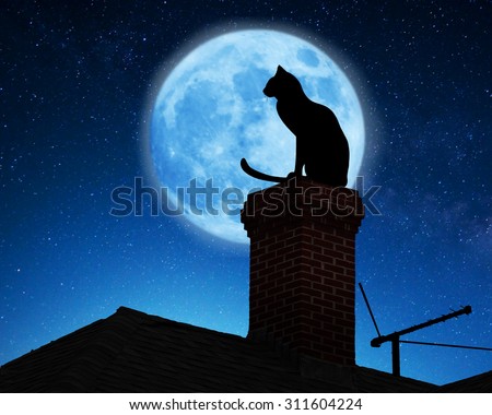 Cat on a roof.