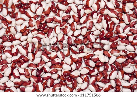 raw white and red kidney beans