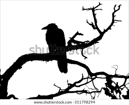 A silhouette of a raven sitting on a tree.