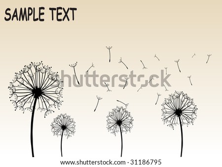 Illustration of dandelions vector design