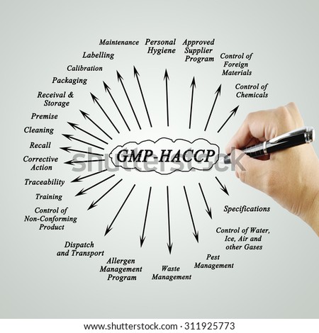 Women hand writing element  GMP-HACCP for use in manufacturing (Training and Presentation)