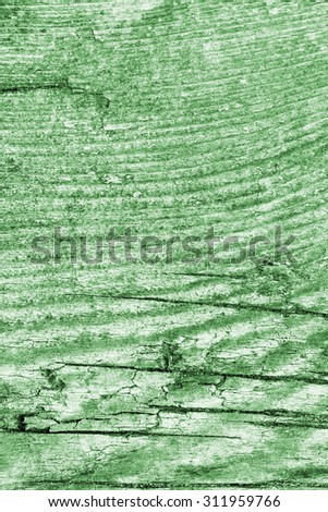 Old Knotted Wood, Weathered, Rotten, Cracked, Bleached and Stained Green, Grunge Texture.