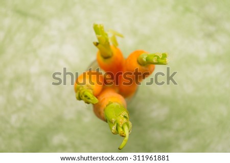 brightly colored four carrots placed vertically in a glass with green part sticking up, shot from above and  green blurry background.