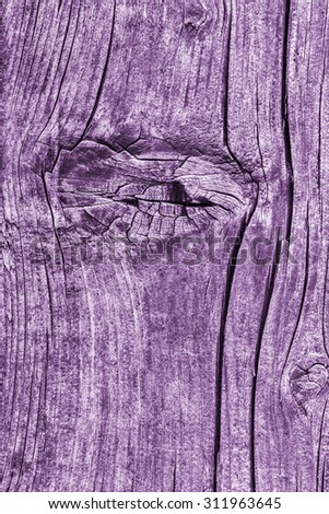Old Knotted Wood, Weathered, Rotten, Cracked, Bleached and Stained Purple, Grunge Texture.