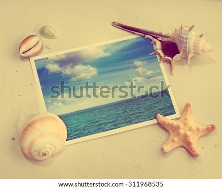 Pictures in a beach concept. Vacation memories. Retro stale.