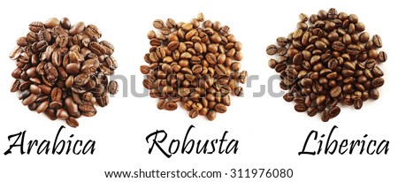 Different coffee beans isolated on white Royalty-Free Stock Photo #311976080