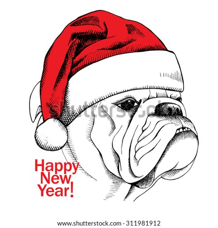 Christmas card. Portrait of a bulldog in Santa hats. Vector illustration.