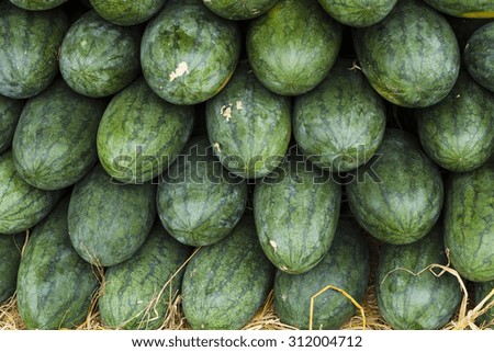 Many big sweet green watermelons for sale in Vietnam