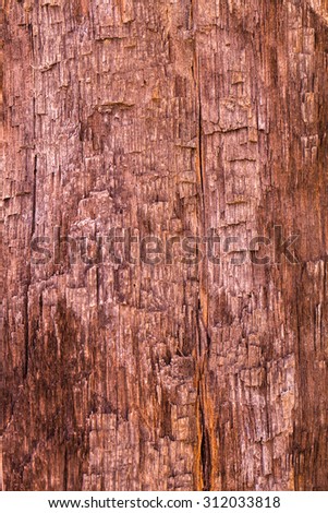 Old wood board background, high resolution image