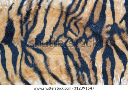 beautiful tiger fur colorful texture with orange beige yellow and black