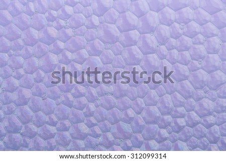 bubbles on purple background macro photo
