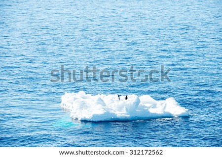 Penguins on the top of the ice piece in Antarctica