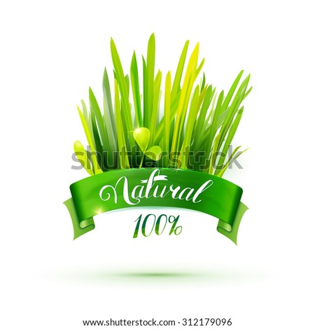 Green ribbon with natural emblem and grass illustration. Creative promotional vector banner. Eco friendly food design. Farm product label.