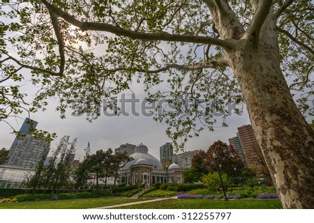 Urban park with the city skyline on the background 2