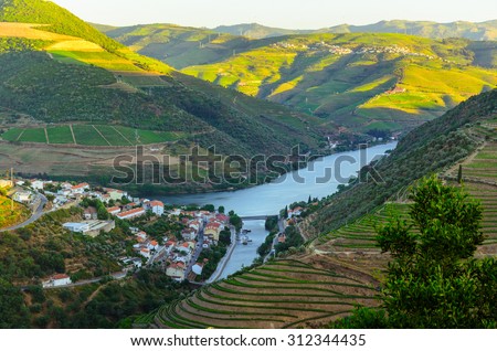 vineyard hills in the river Douro valley, Portugal Royalty-Free Stock Photo #312344435