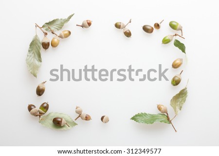 Fallen leaves, acorn, frame