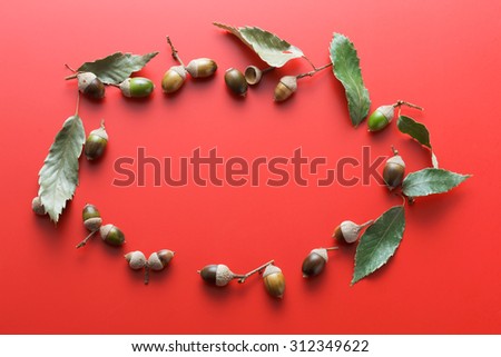 Fallen leaves, acorn, frame
