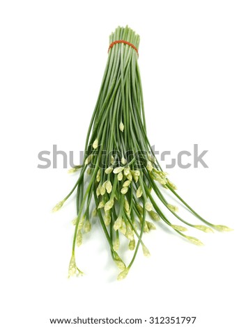onion flower isolated on white background