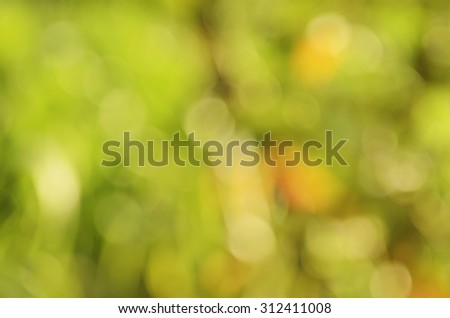 Abstract backgrounds with light bokeh